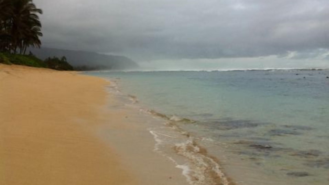 Photo of Others in Mokuleia