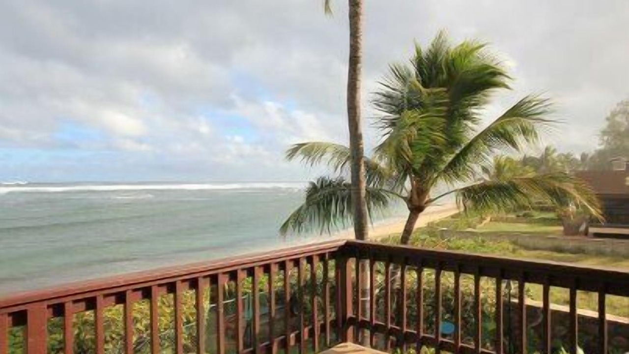 Photo of Others in Mokuleia