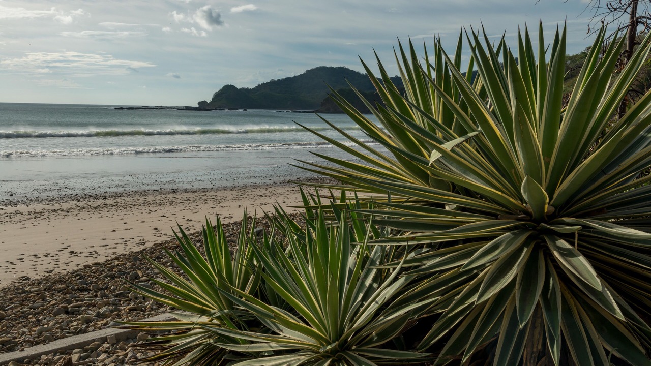 Photo of Others in San Juan del Sur