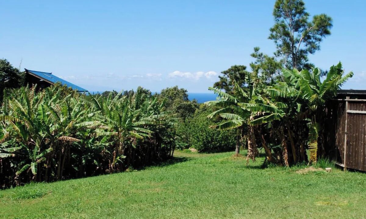 Photo of Outdoor in Pauwela
