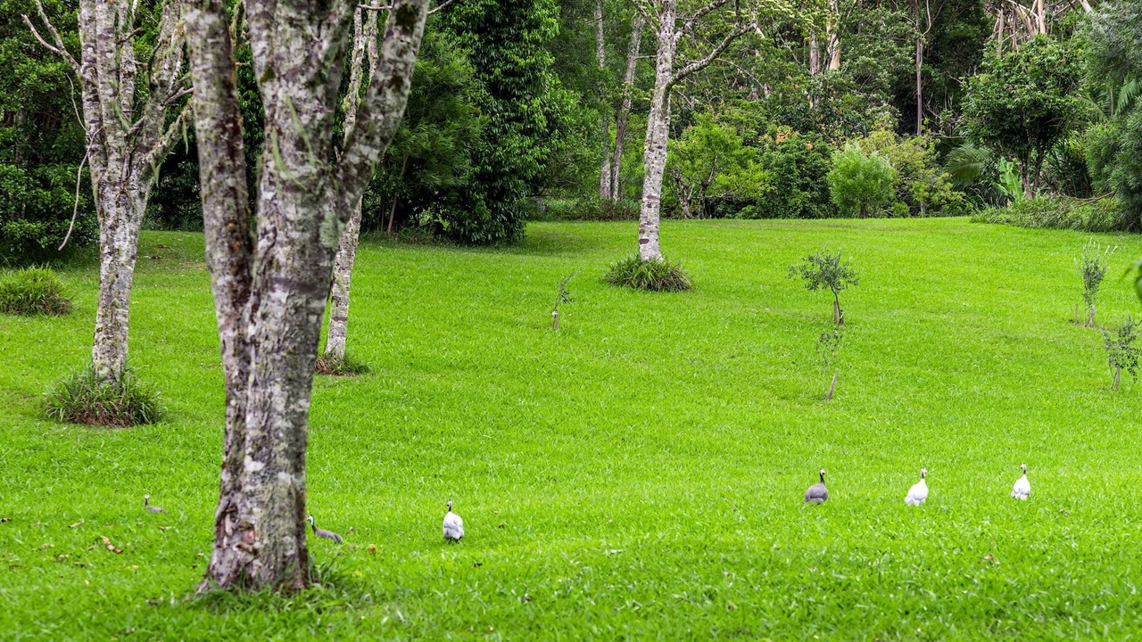 Photo of Outdoor in Whian Whian