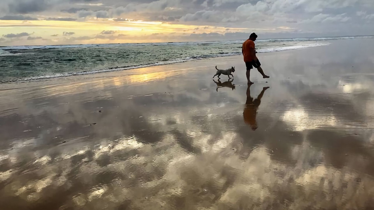 Photo of Others in Venus Bay