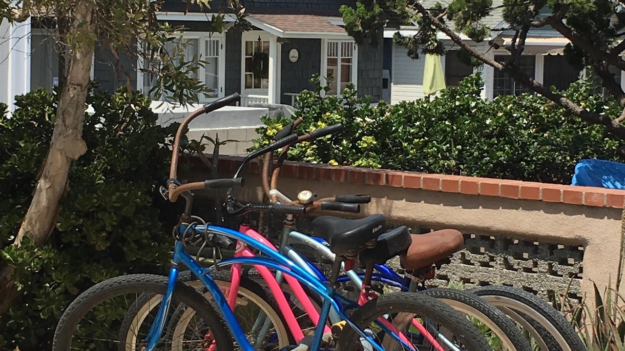 Photo of Others in West Newport
