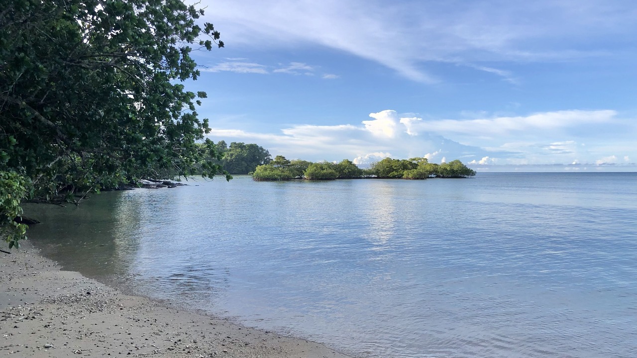 Photo of Others in Savusavu
