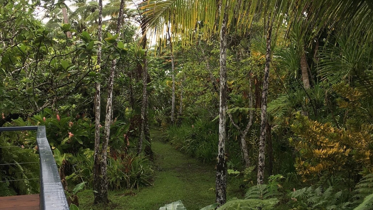 Photo of Outdoor in Savusavu