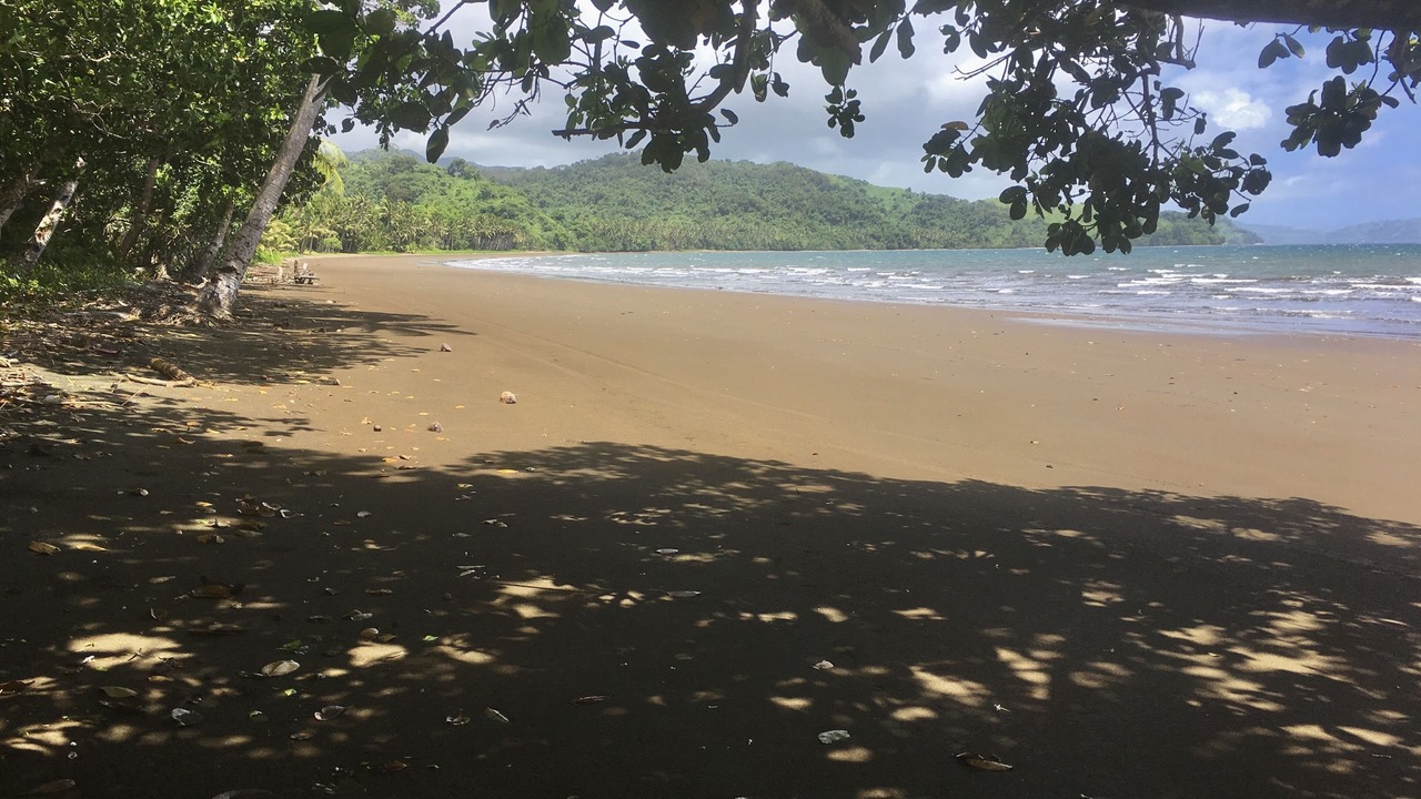 Photo of Others in Savusavu