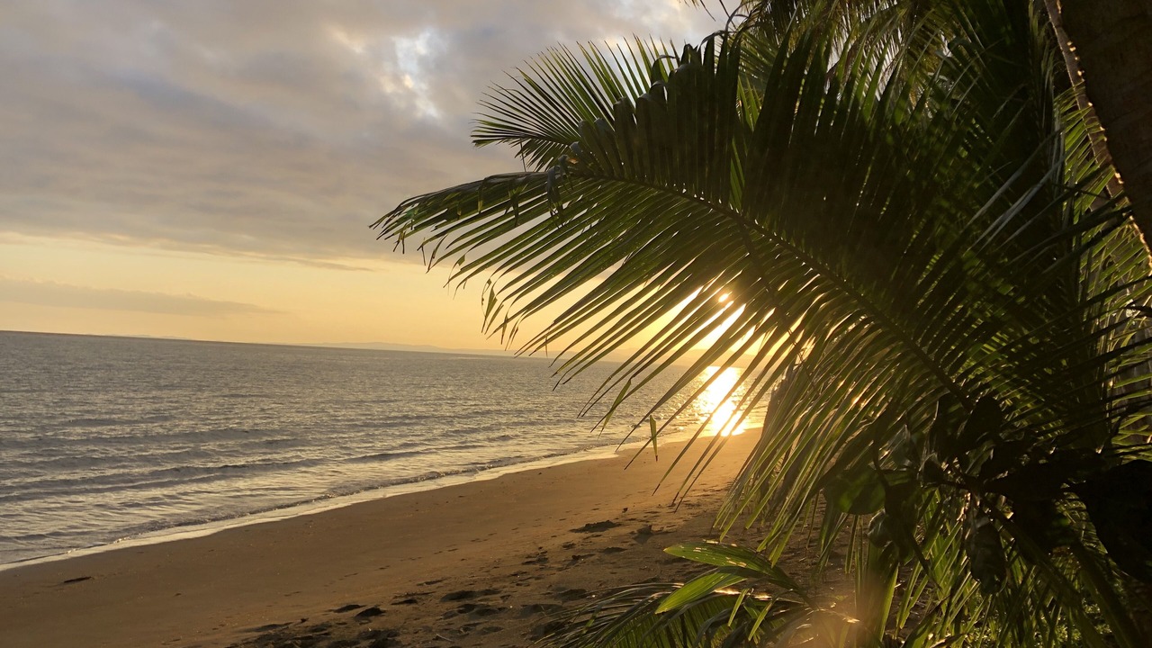 Photo of Others in Savusavu