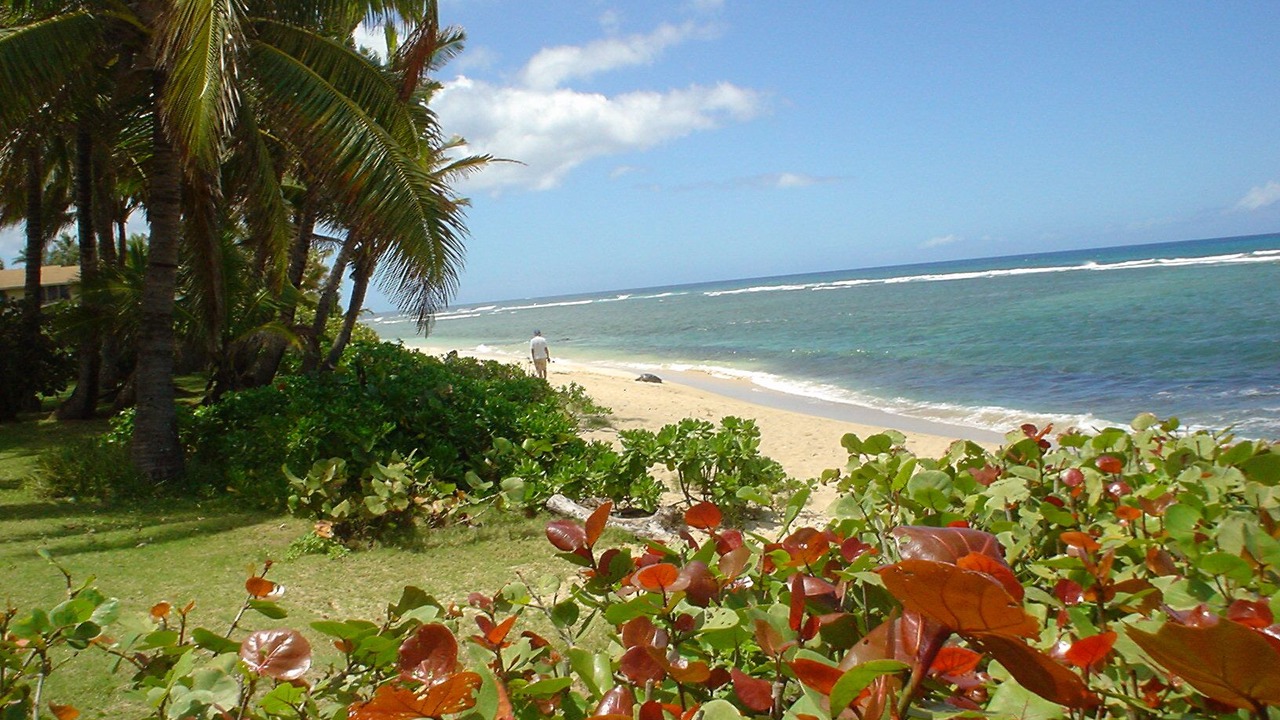 Photo of Others in Mokuleia