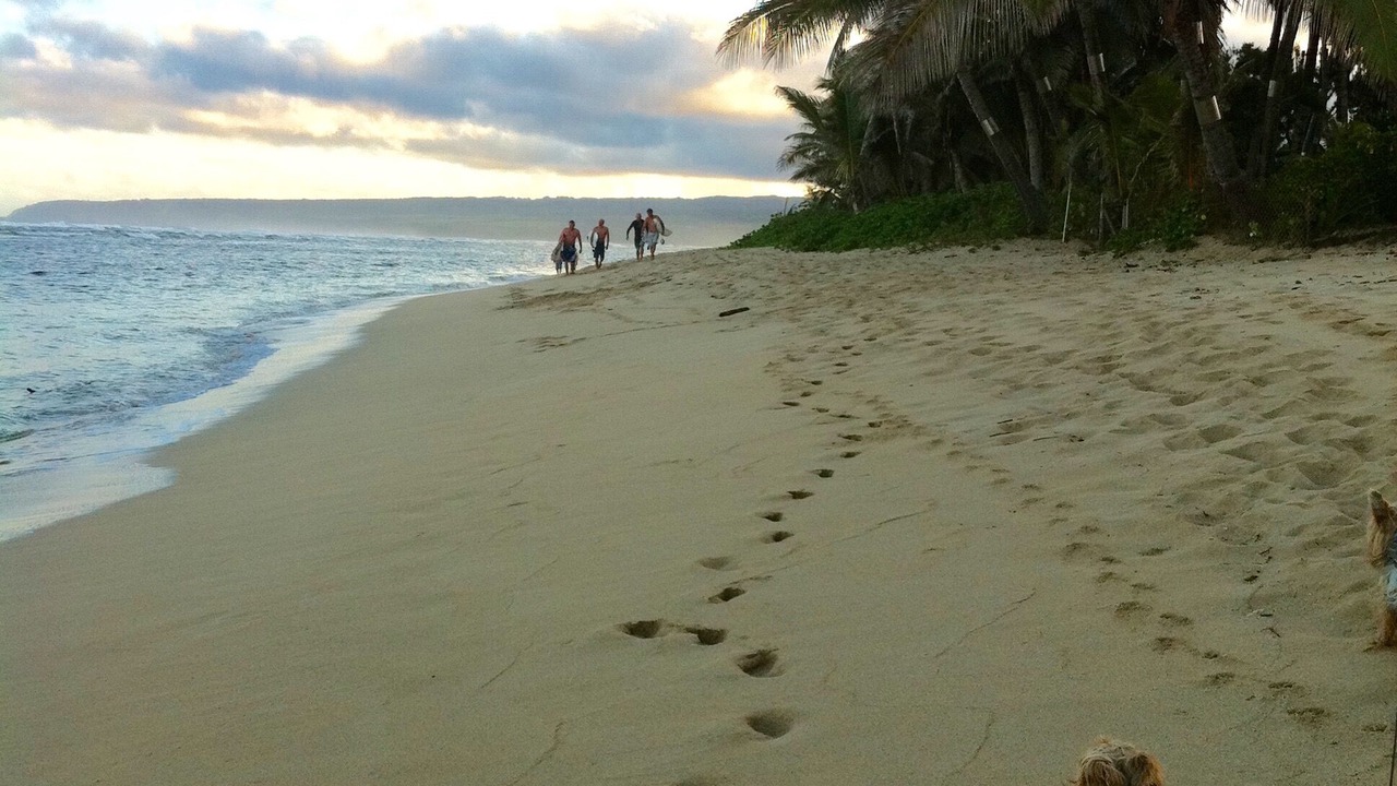 Photo of Others in Mokuleia