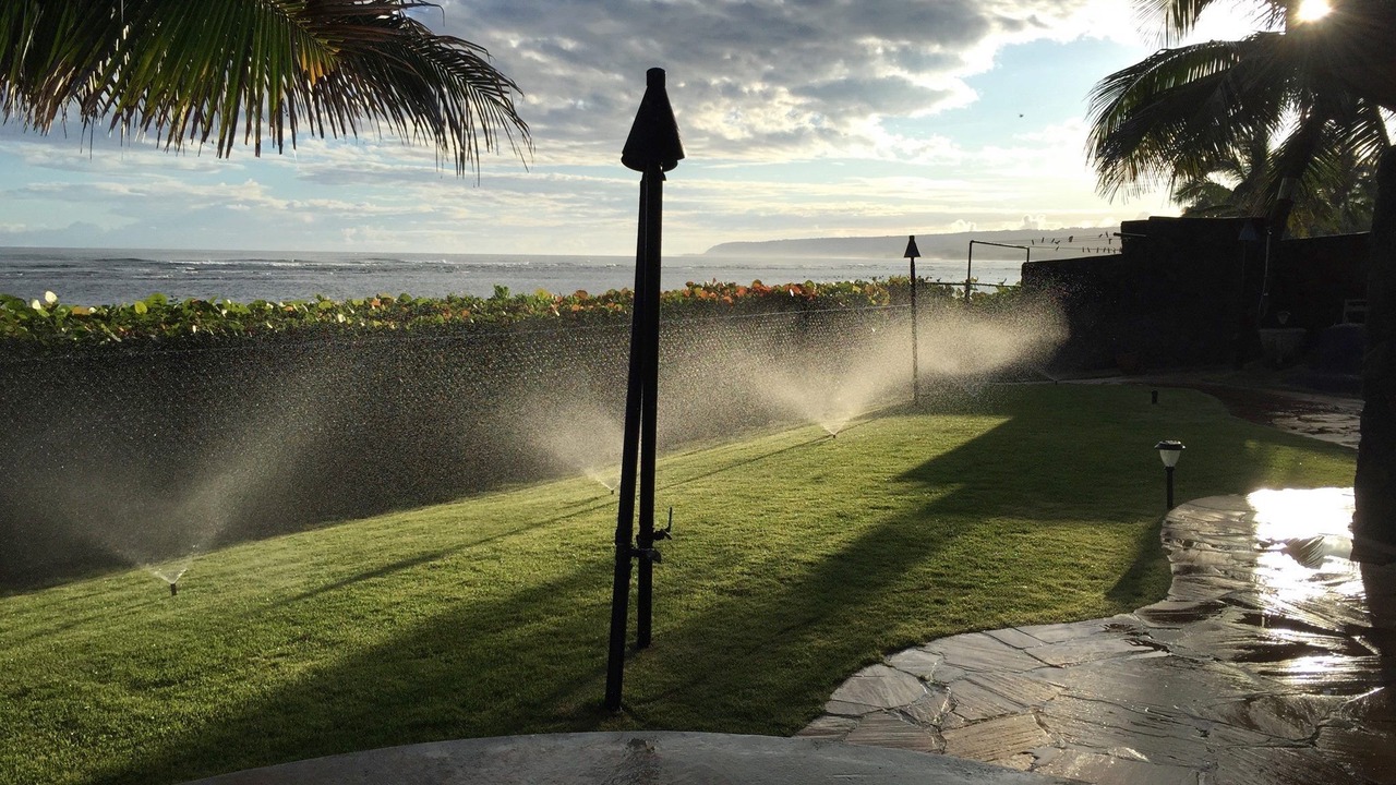 Photo of Outdoor in Mokuleia