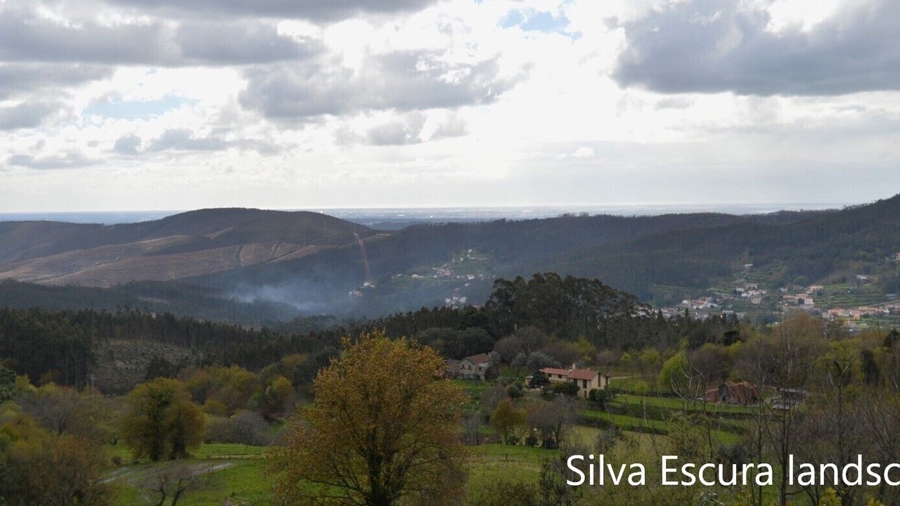 Photo of Others in Sever do Vouga