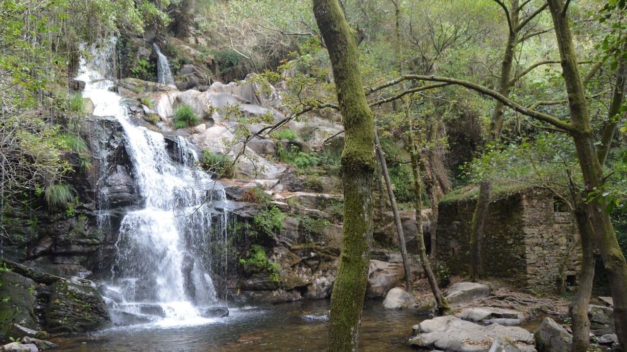 Photo of Outdoor in Sever do Vouga