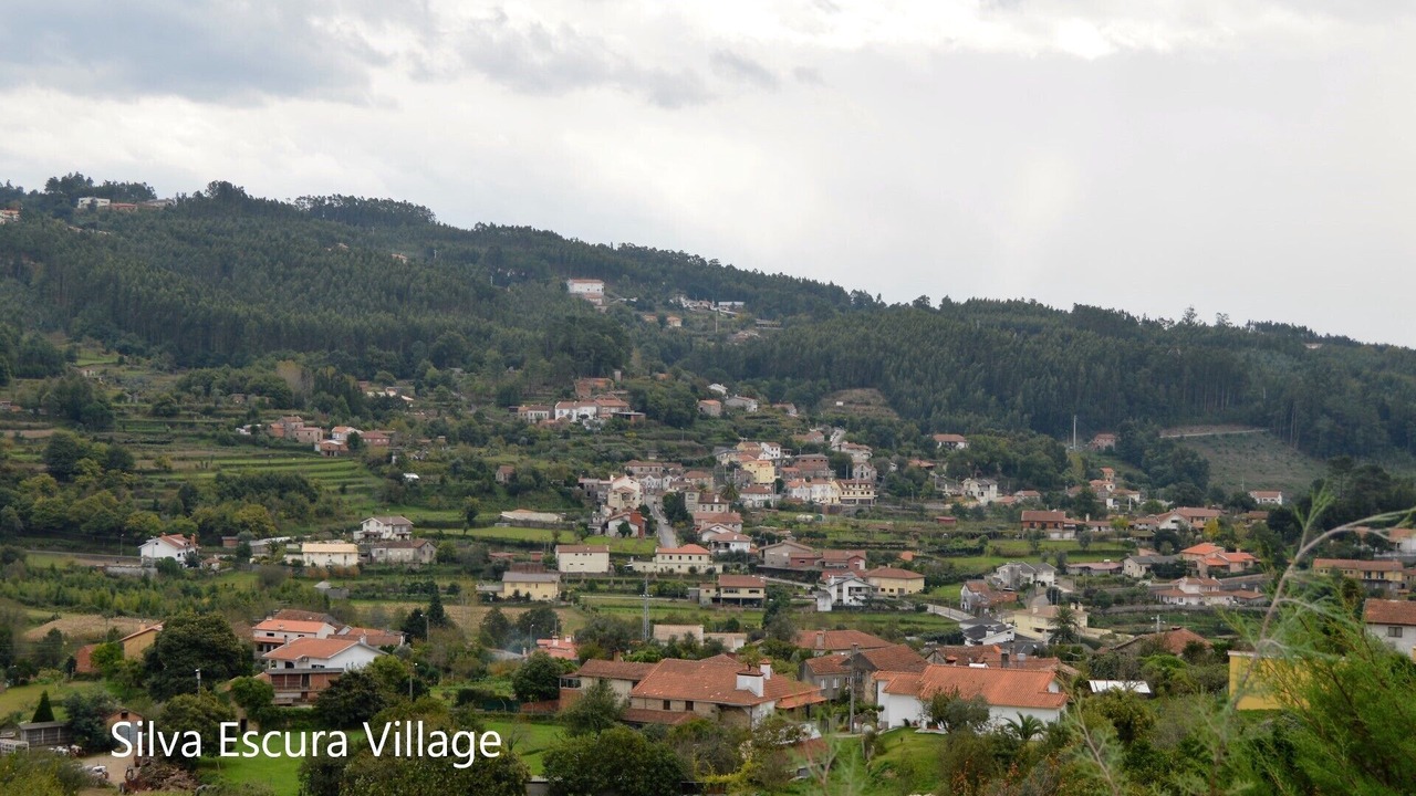 Photo of Outdoor in Sever do Vouga