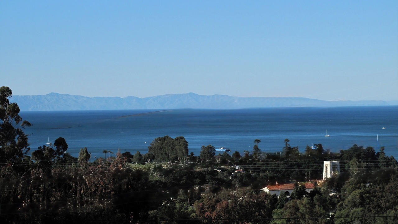 Photo of Others in Eucalyptus Hill