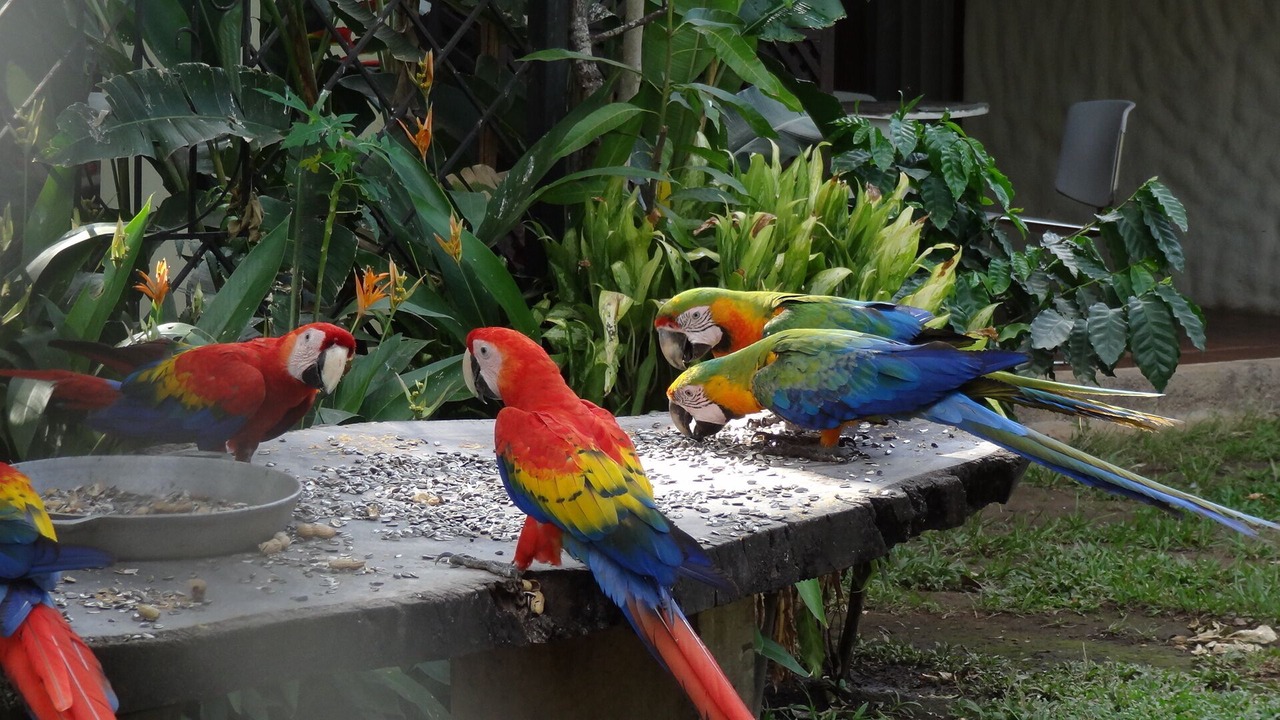 Photo of Others in Puerto Carrillo