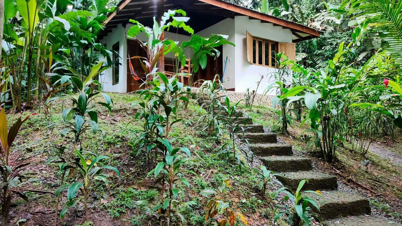 Photo of Outdoor in Cocles
