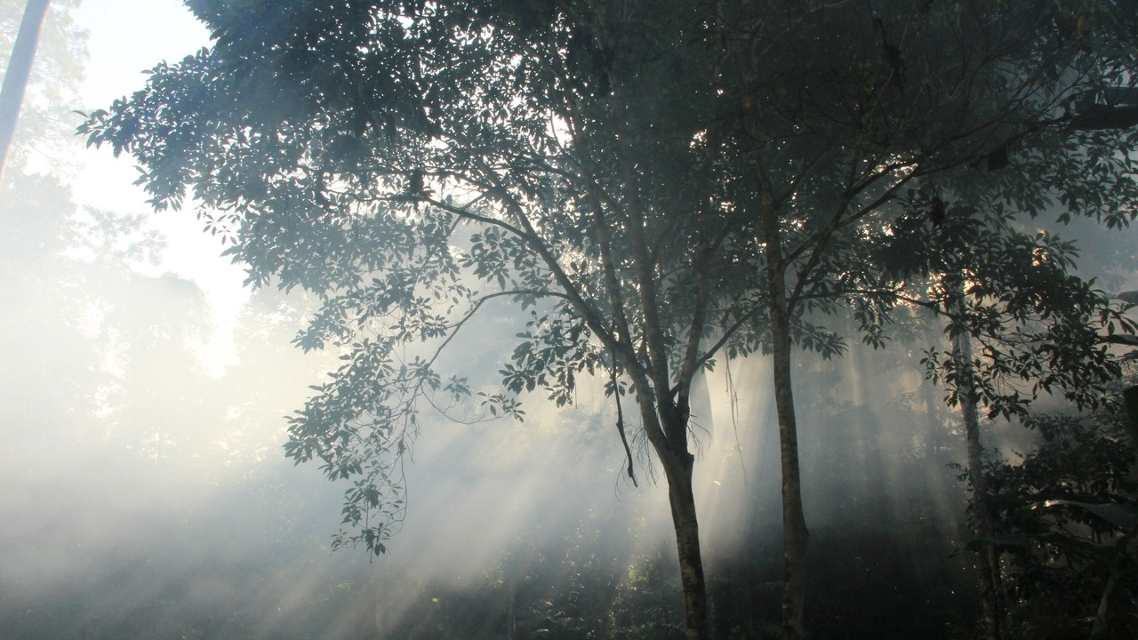 Photo of Others in Cocles