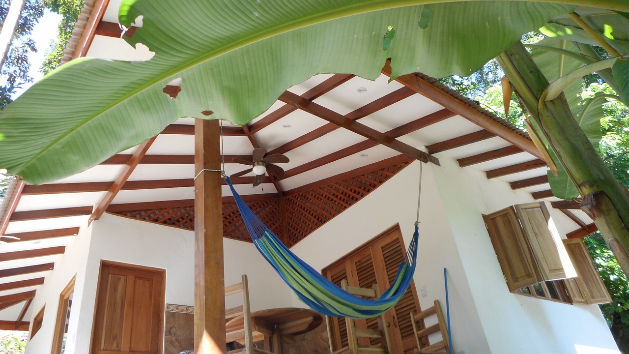 Photo of Outdoor in Cocles