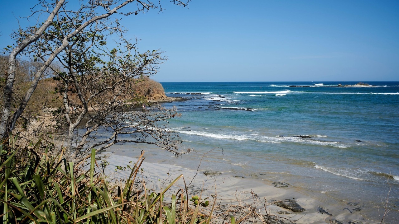 Photo of Others in Playa Langosta