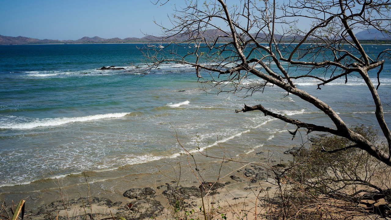 Photo of Others in Playa Langosta