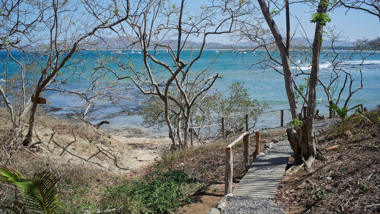 Photo of Others in Playa Langosta