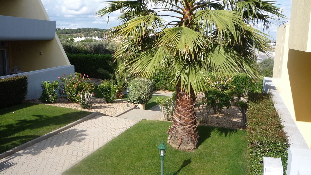 Photo of Outdoor in Telheiro