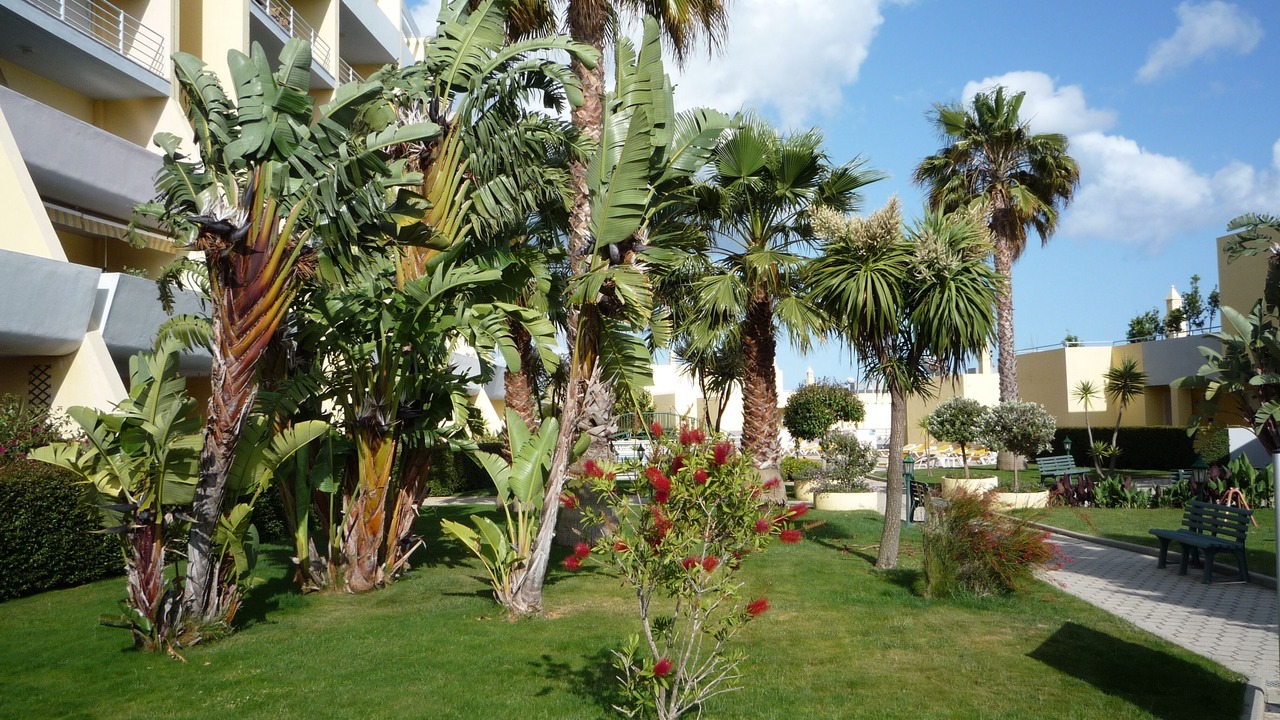 Photo of Outdoor in Telheiro