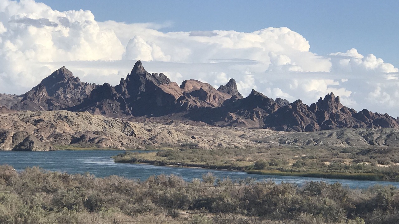 Photo of Others in Lake Havasu City