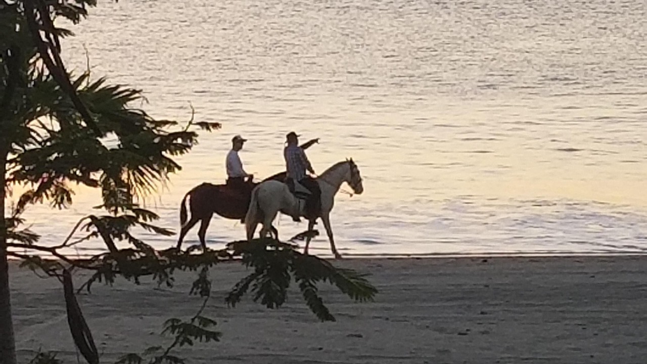 Photo of Others in Playa Marsella