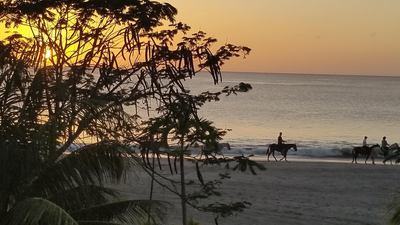 Photo of Others in Playa Marsella