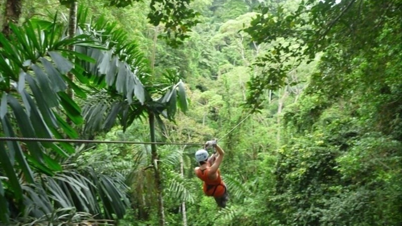 Photo of Others in Cocles