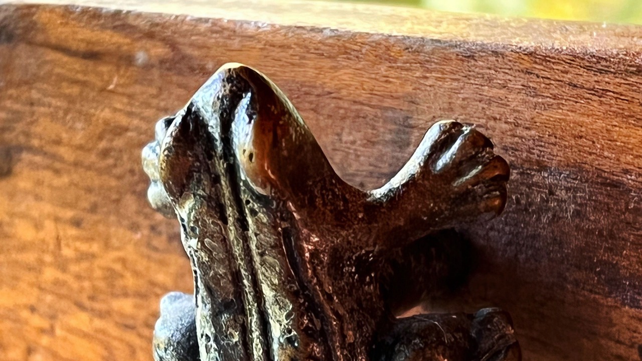 Photo of Others in Cocles