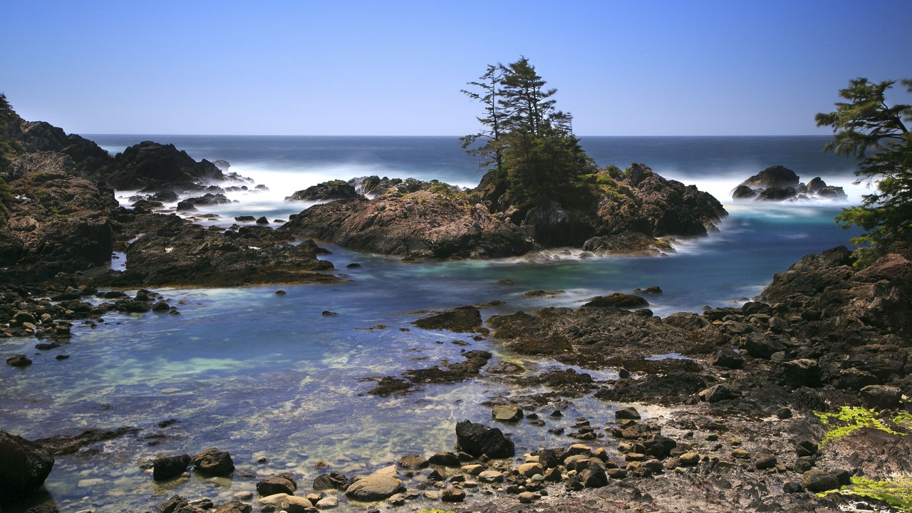 Photo of Others in Ucluelet
