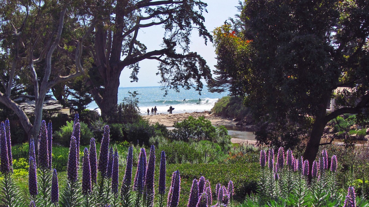 Photo of Others in Carpinteria