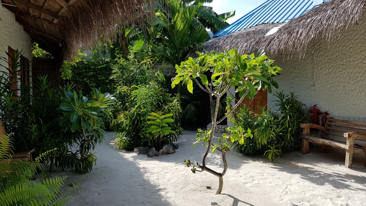 Photo of Outdoor in Dharavandhoo