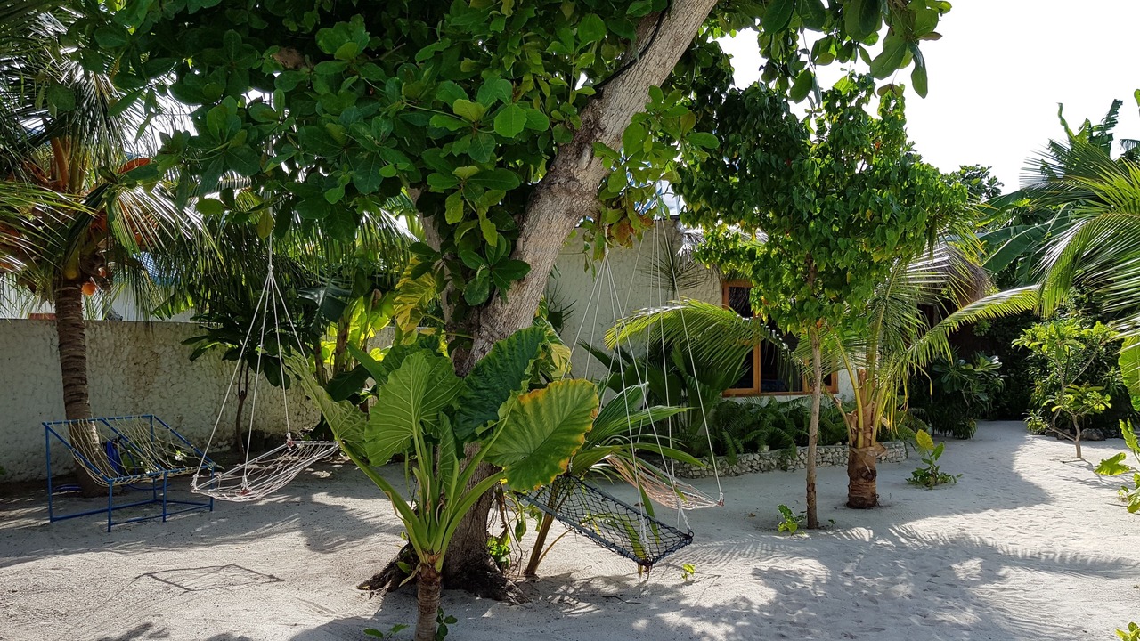 Photo of Patio Balcony in Dharavandhoo