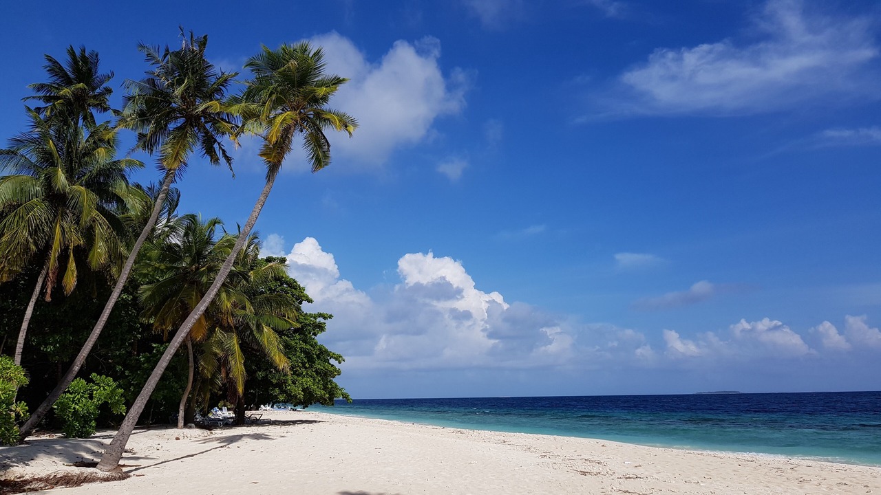 Photo of Others in Dharavandhoo