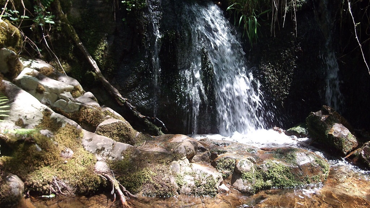 Photo of Outdoor in Oliveira de Frades