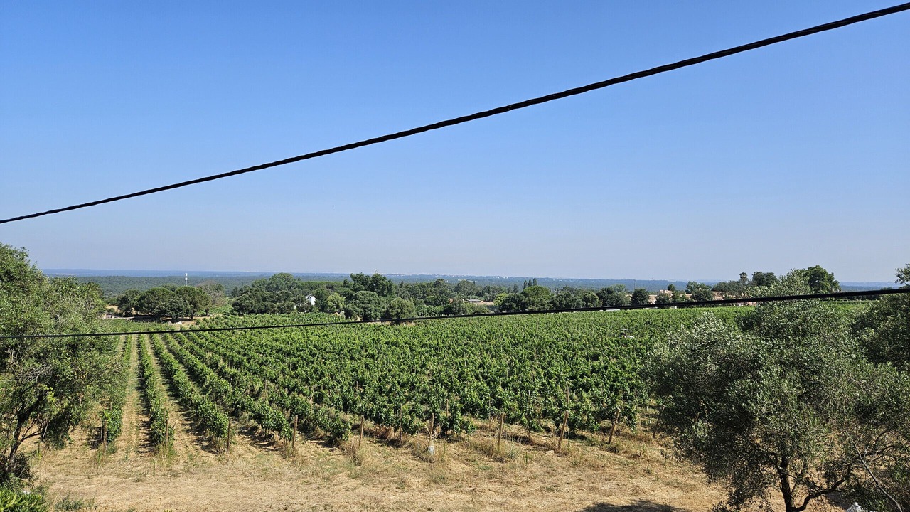 Photo of Others in Aldeia de Irmaos