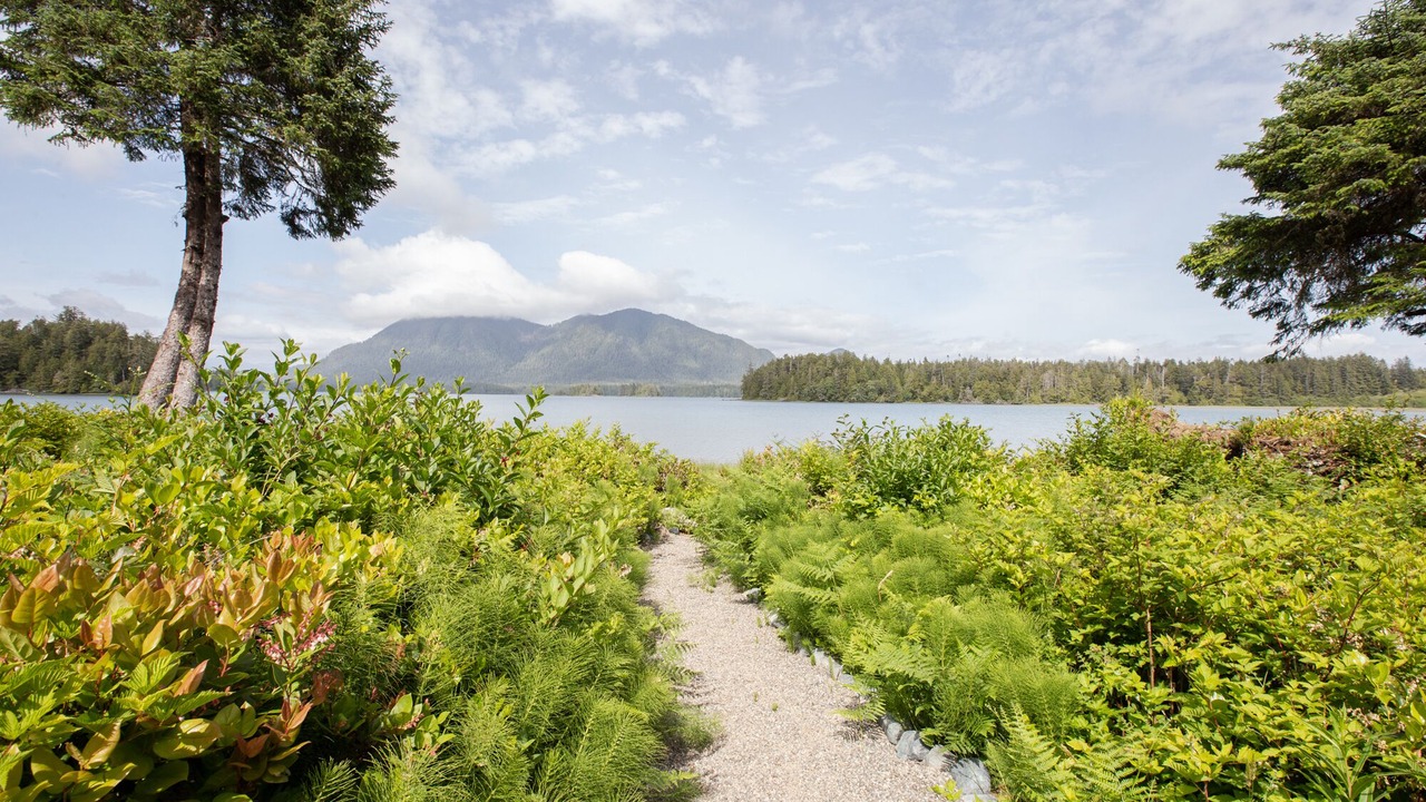 Photo of Outdoor in Tofino