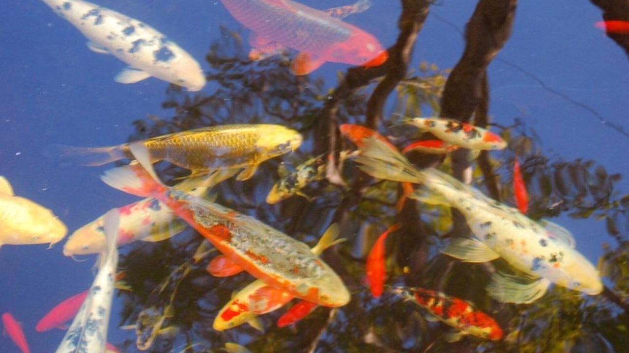 Photo of Others in Santa Barbara