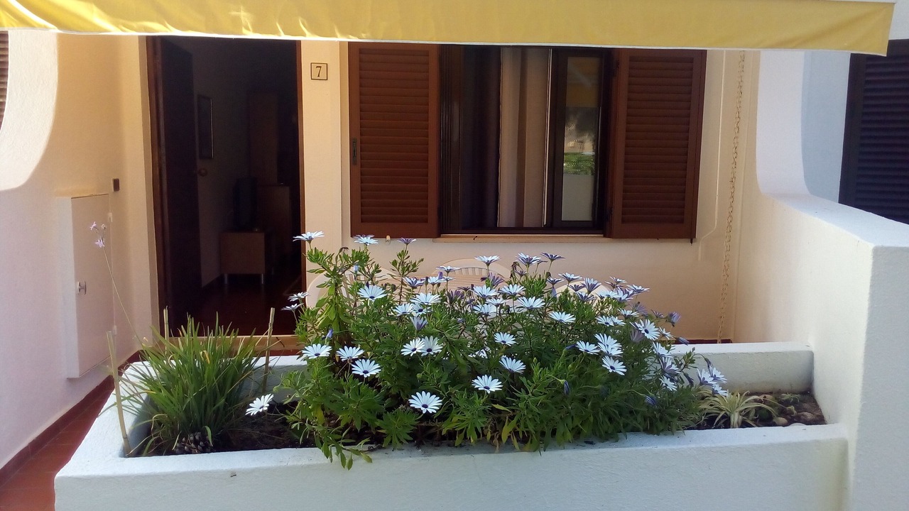 Photo of Outdoor in Vilamoura