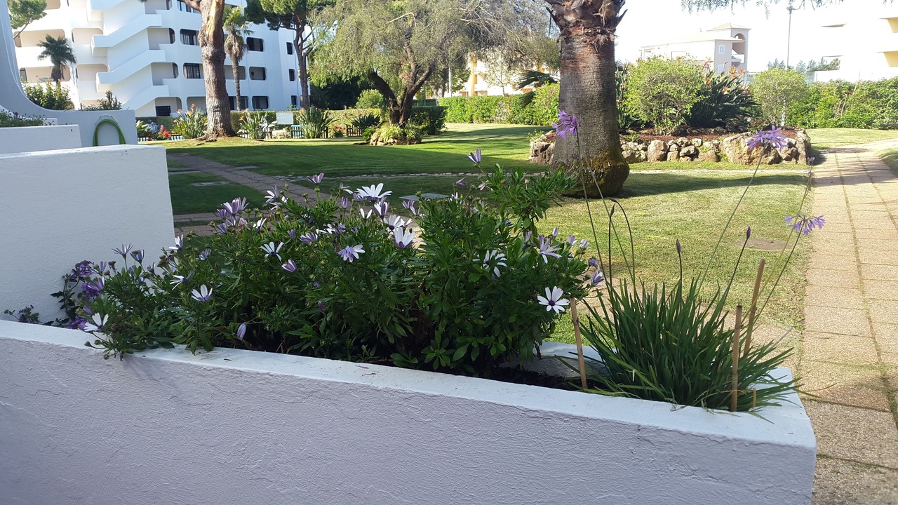 Photo of Outdoor in Vilamoura