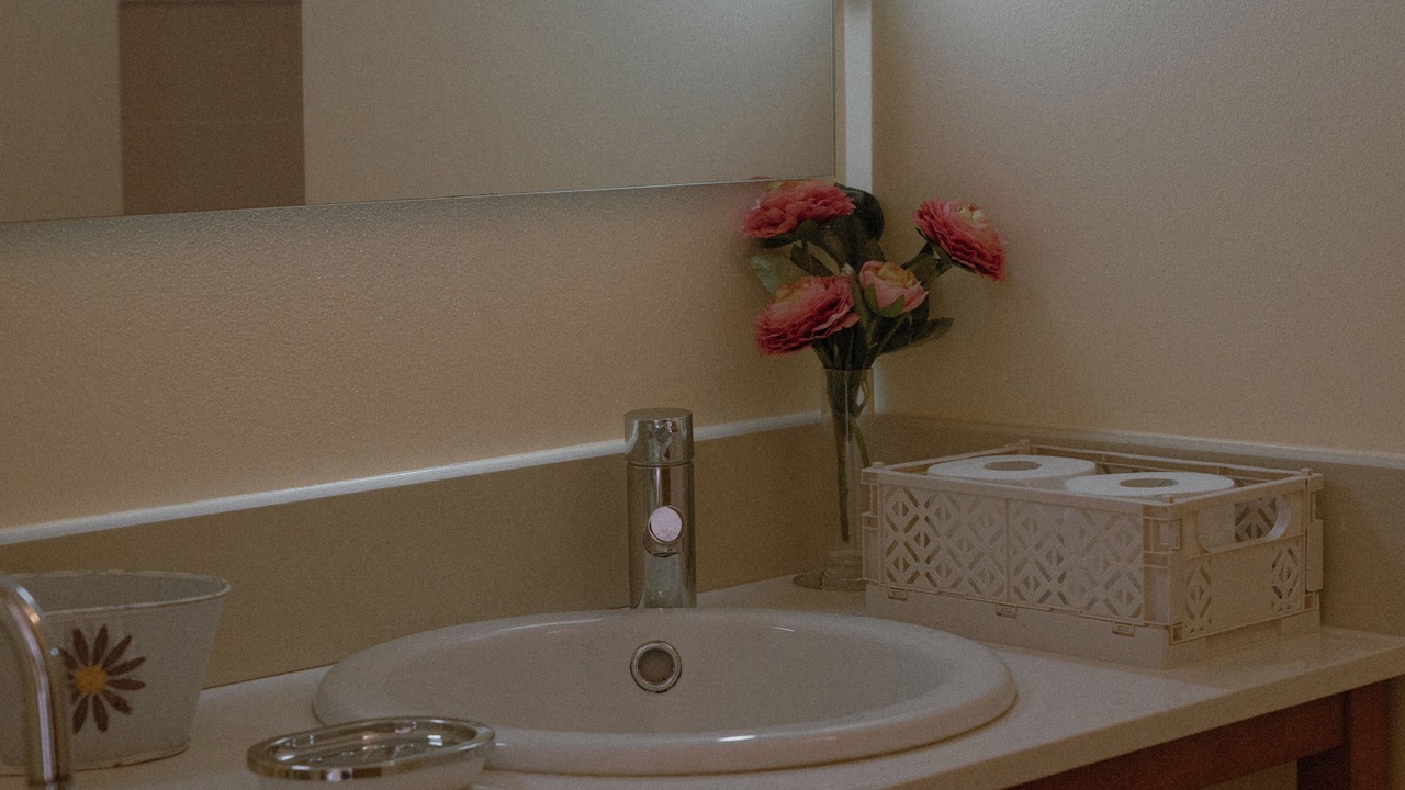 Photo of Bathroom in Resende