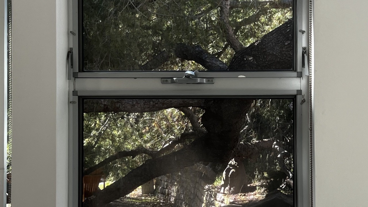 Photo of Others in Topanga