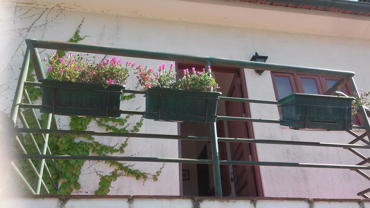Photo of Outdoor in Santa Maria da Feira