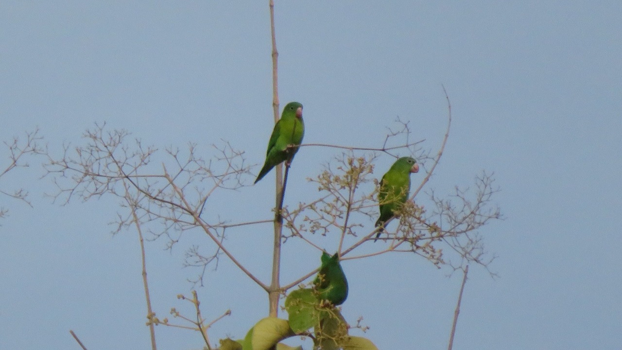 Photo of Outdoor in Playa Azul