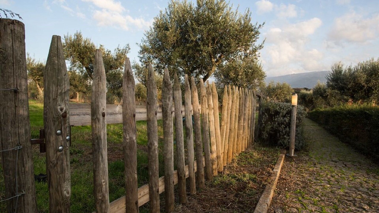 Photo of Outdoor in Seia