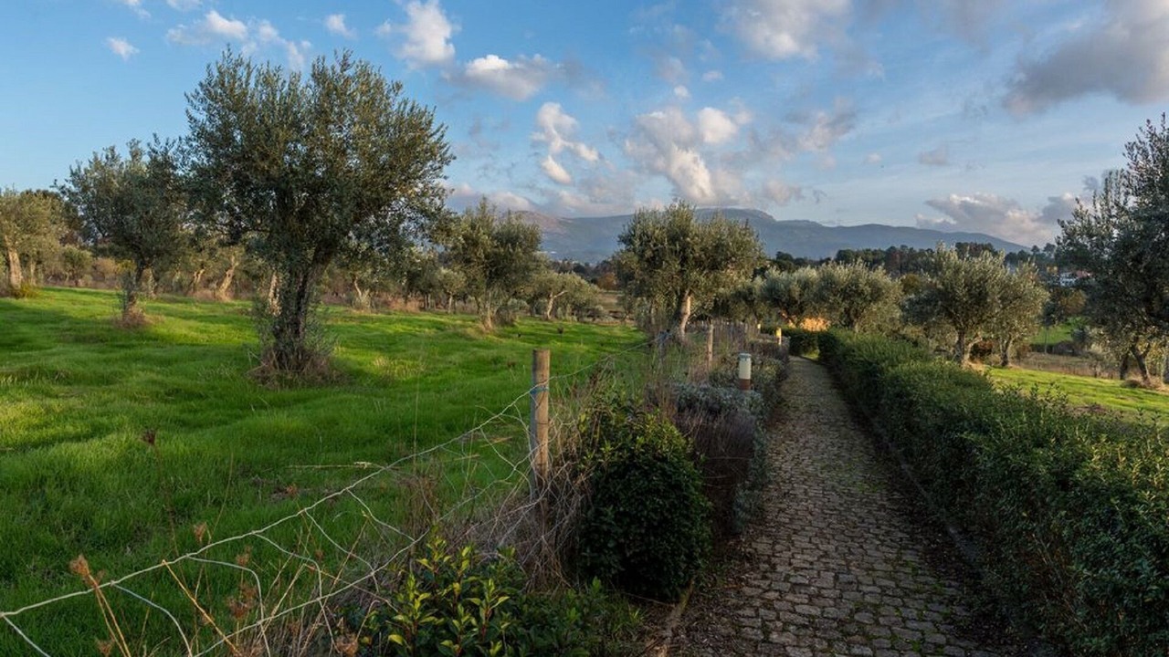 Photo of Outdoor in Seia