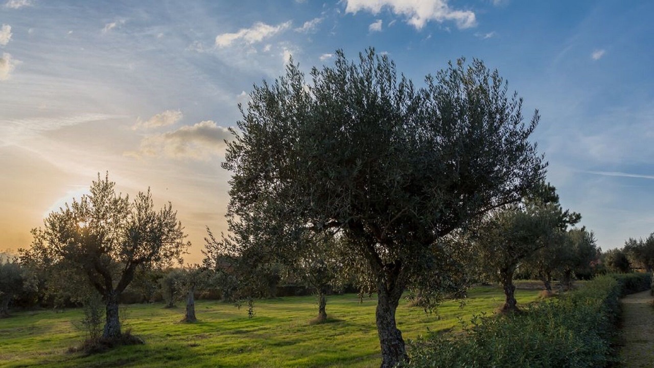 Photo of Outdoor in Seia